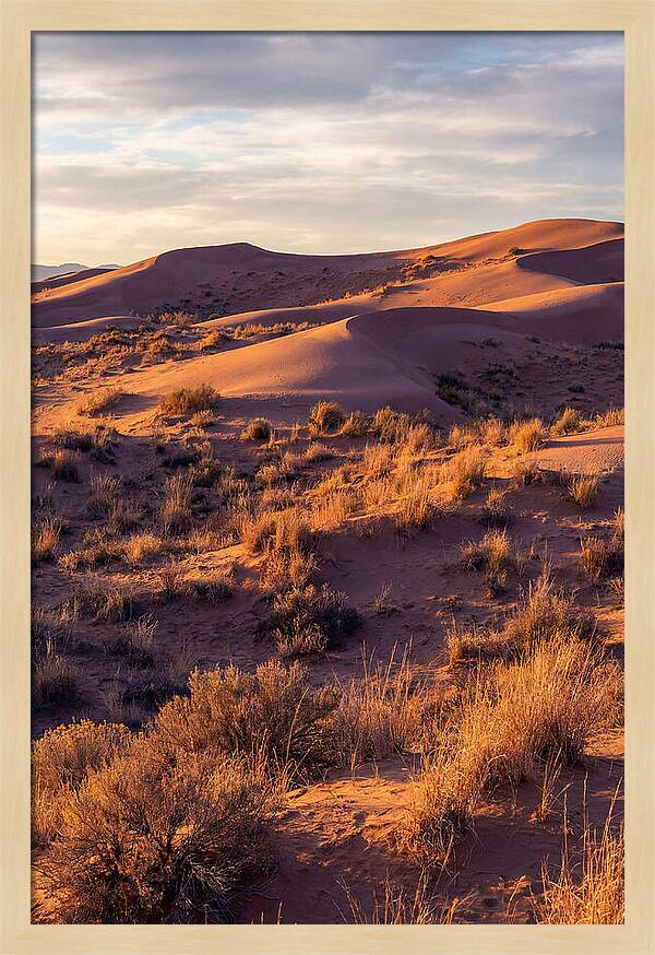 Sandhills Dune Grassland Serenity