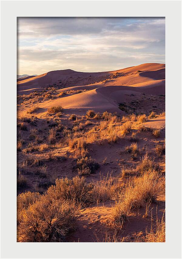 Sandhills Dune Grassland Serenity