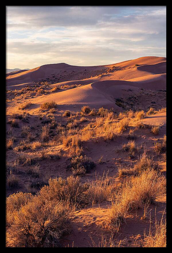 Sandhills Dune Grassland Serenity