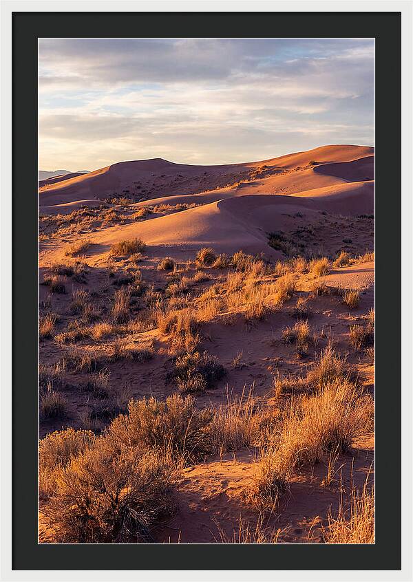 Sandhills Dune Grassland Serenity
