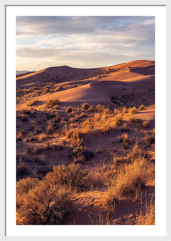 Sandhills Dune Grassland Serenity