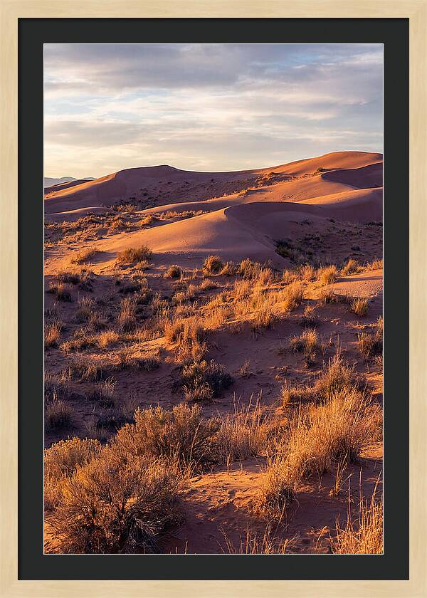 Sandhills Dune Grassland Serenity