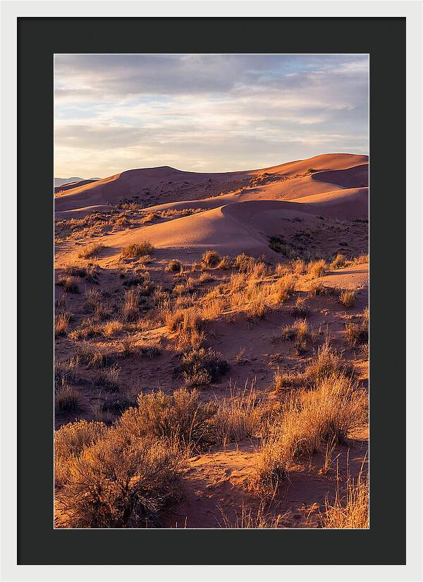 Sandhills Dune Grassland Serenity