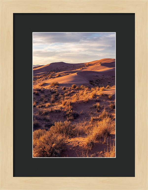 Sandhills Dune Grassland Serenity