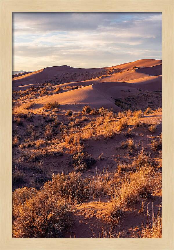 Sandhills Dune Grassland Serenity