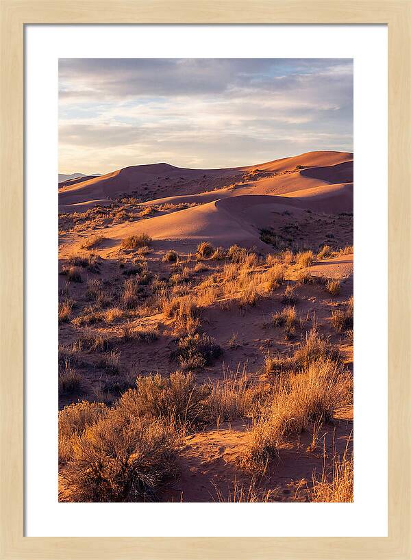 Sandhills Dune Grassland Serenity