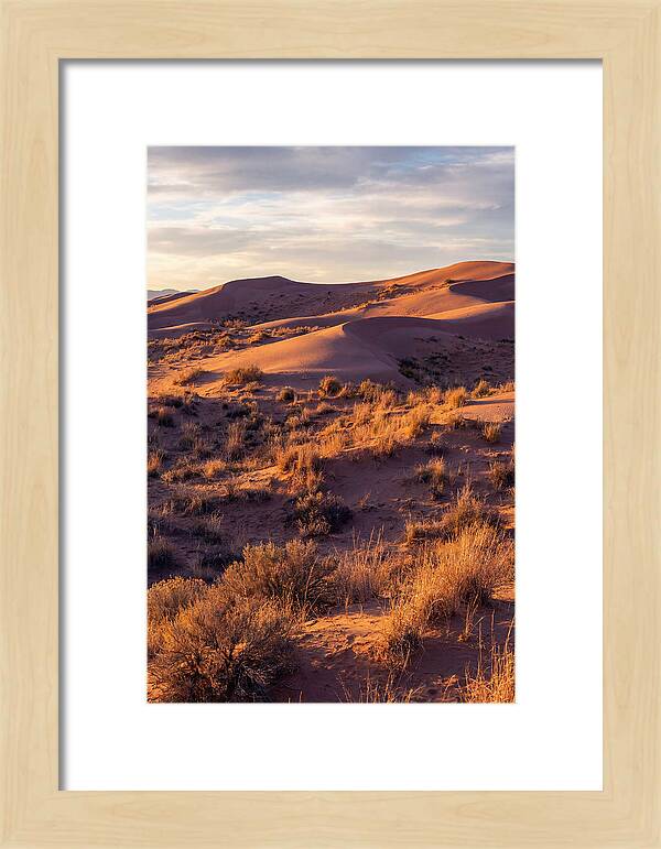 Sandhills Dune Grassland Serenity