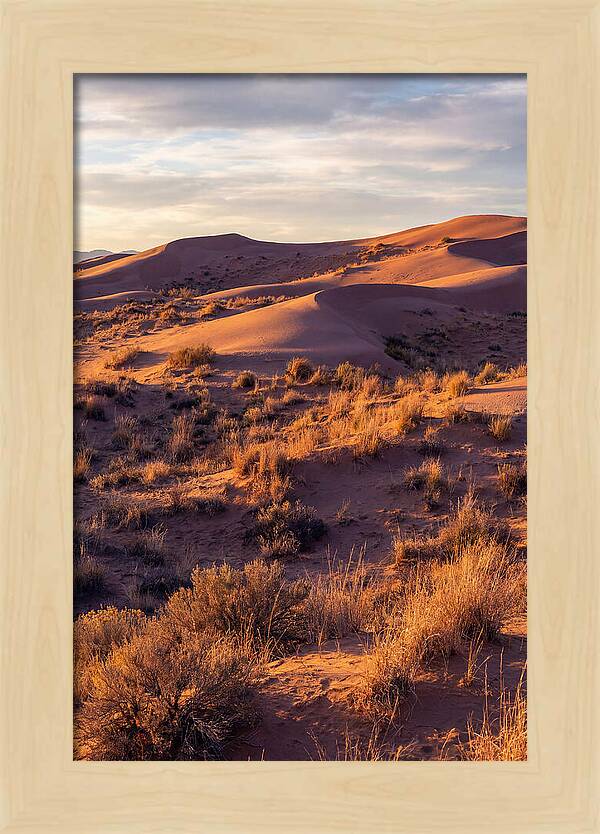 Sandhills Dune Grassland Serenity