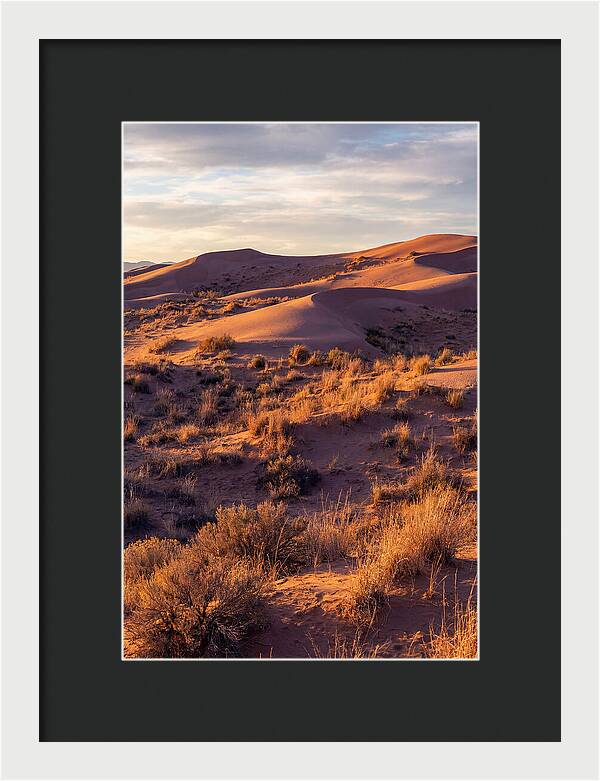 Sandhills Dune Grassland Serenity