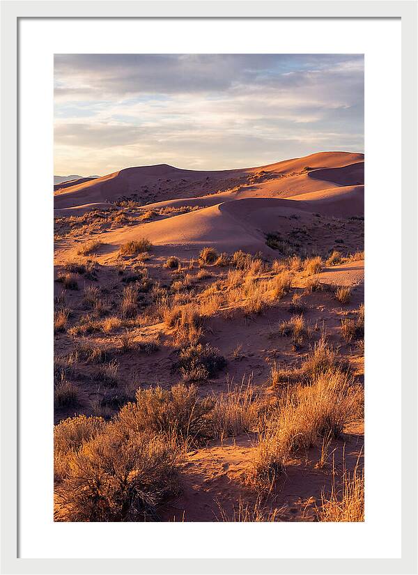 Sandhills Dune Grassland Serenity