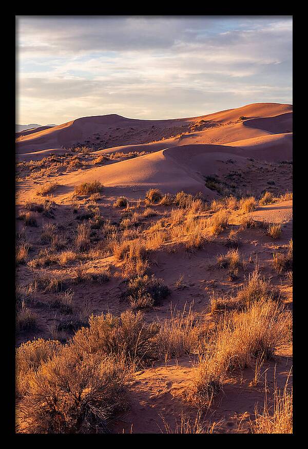 Sandhills Dune Grassland Serenity