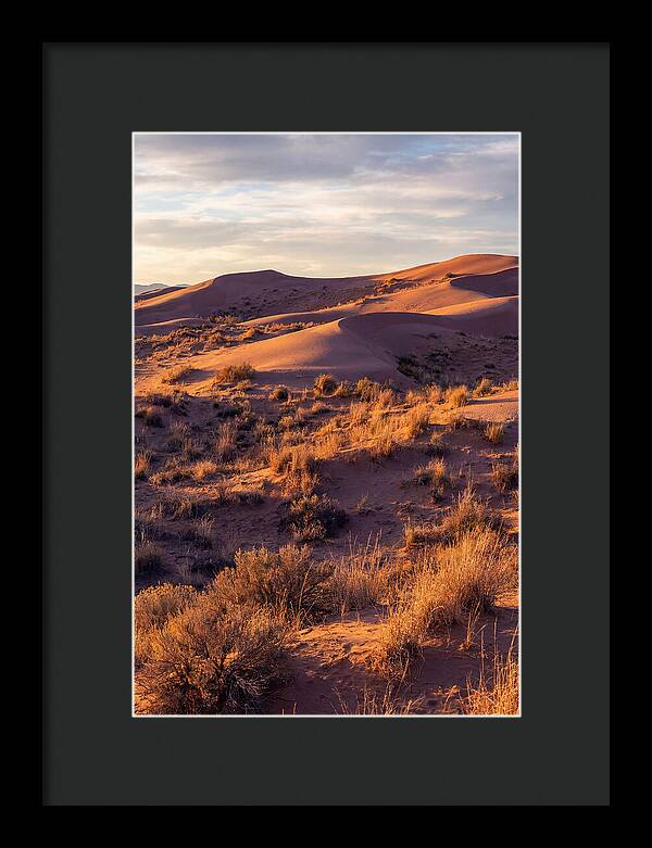 Sandhills Dune Grassland Serenity