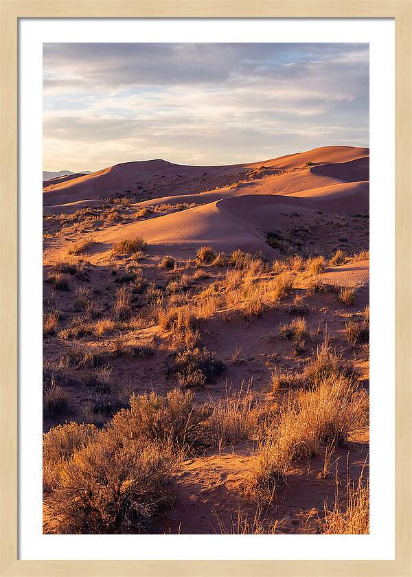 Sandhills Dune Grassland Serenity