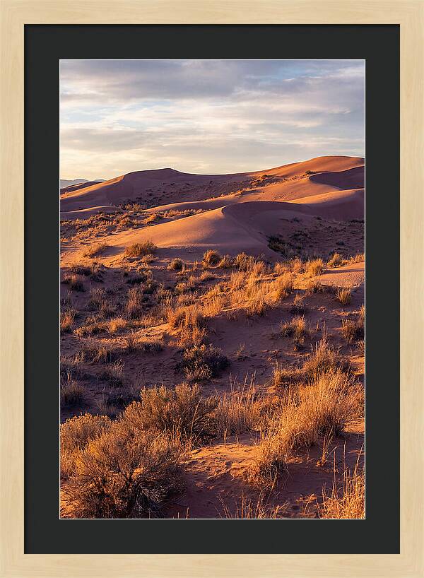 Sandhills Dune Grassland Serenity
