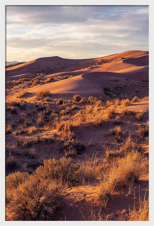 Sandhills Dune Grassland Serenity