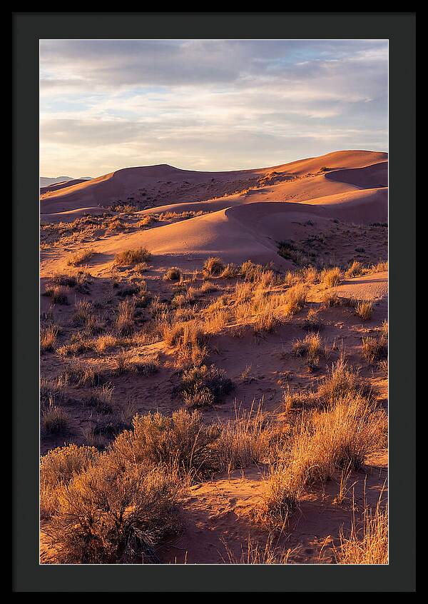 Sandhills Dune Grassland Serenity
