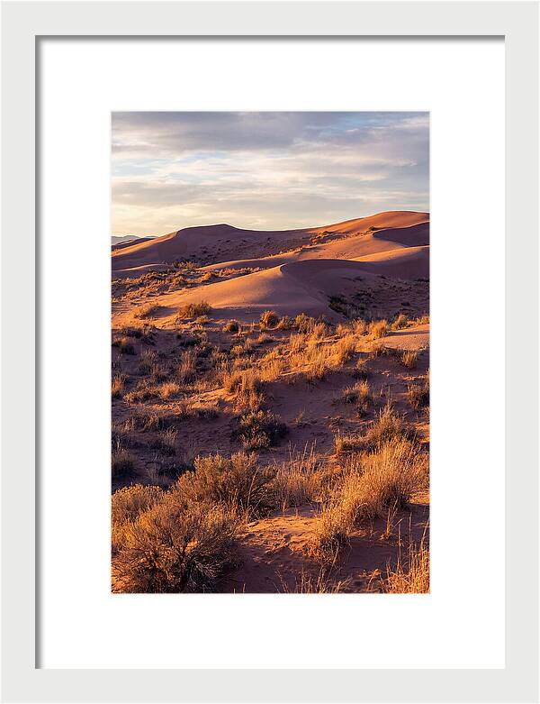 Sandhills Dune Grassland Serenity