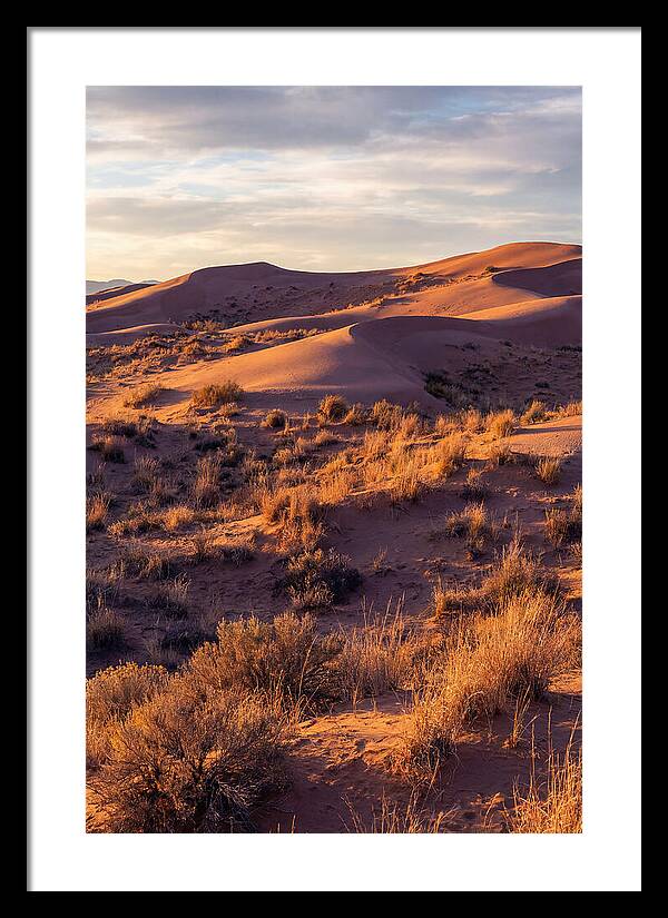 Sandhills Dune Grassland Serenity