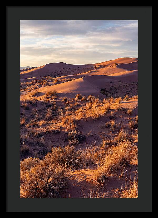Sandhills Dune Grassland Serenity