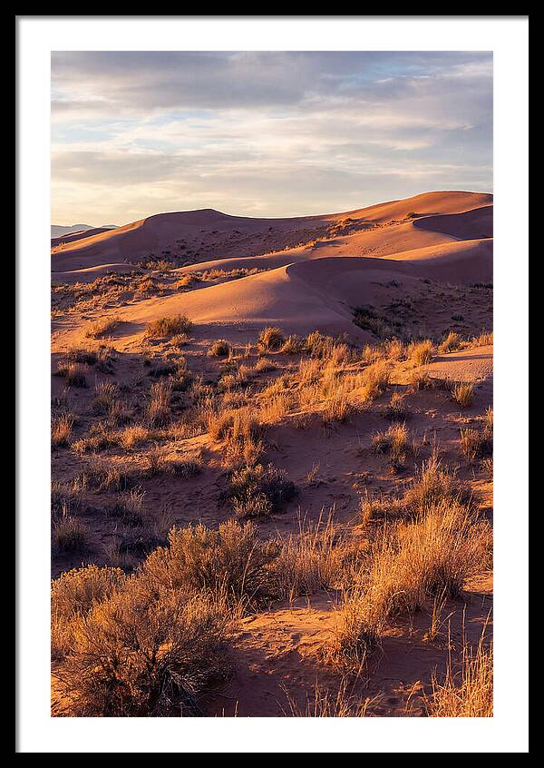 Sandhills Dune Grassland Serenity