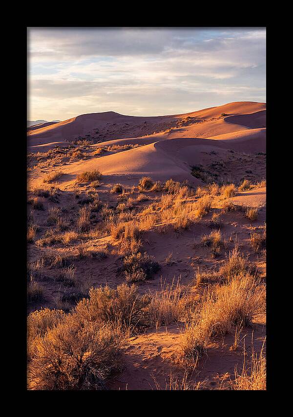 Sandhills Dune Grassland Serenity