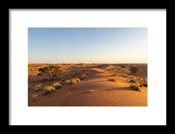 Sandhills Serenity At Dusk
