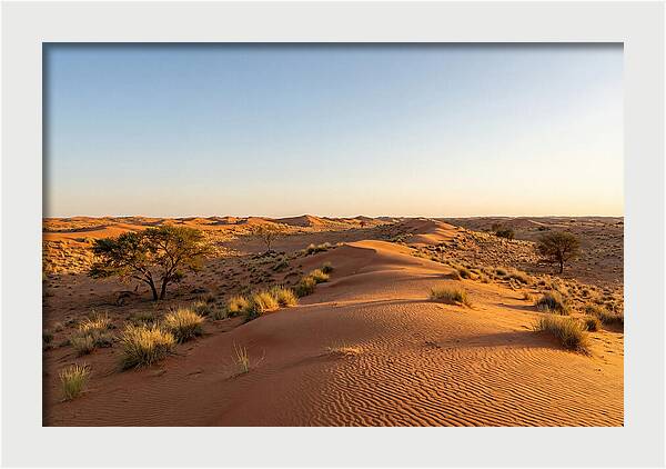 Sandhills Serenity At Dusk