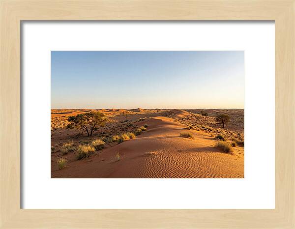 Sandhills Serenity At Dusk