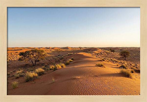 Sandhills Serenity At Dusk