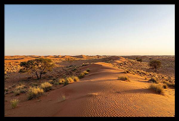 Sandhills Serenity At Dusk
