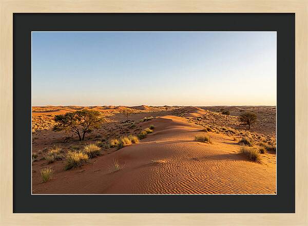 Sandhills Serenity At Dusk