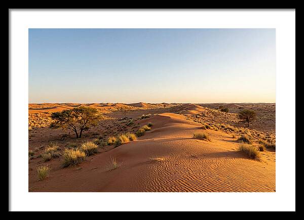 Sandhills Serenity At Dusk