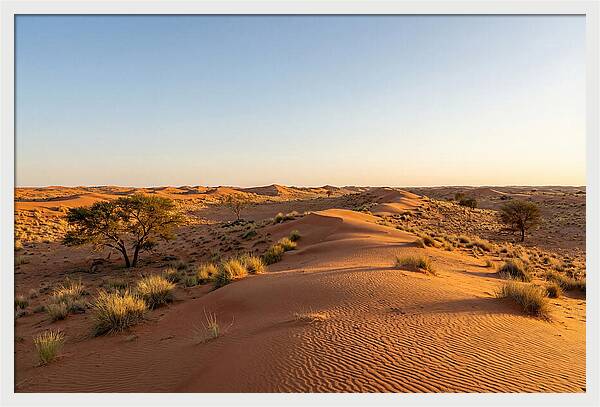 Sandhills Serenity At Dusk