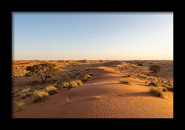Sandhills Serenity At Dusk