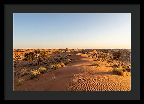 Sandhills Serenity At Dusk