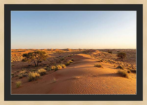 Sandhills Serenity At Dusk