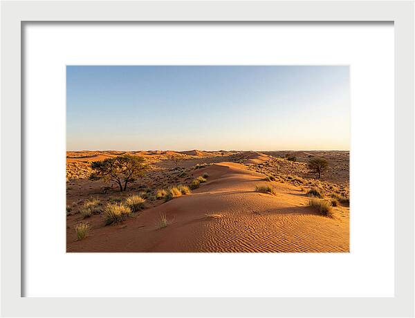 Sandhills Serenity At Dusk