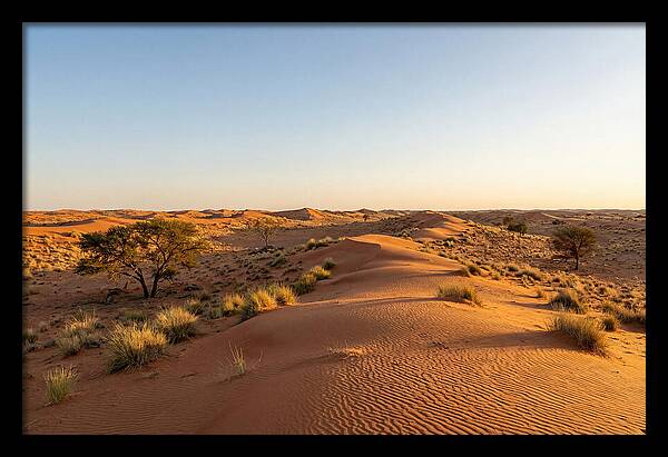 Sandhills Serenity At Dusk