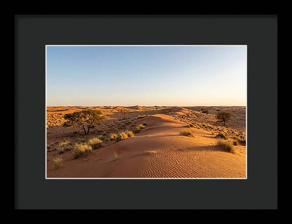 Sandhills Serenity At Dusk