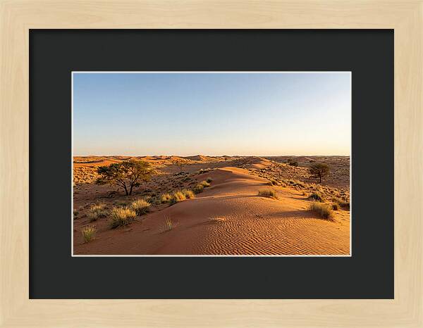 Sandhills Serenity At Dusk