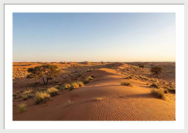 Sandhills Serenity At Dusk