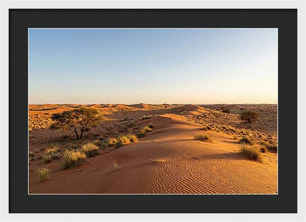 Sandhills Serenity At Dusk