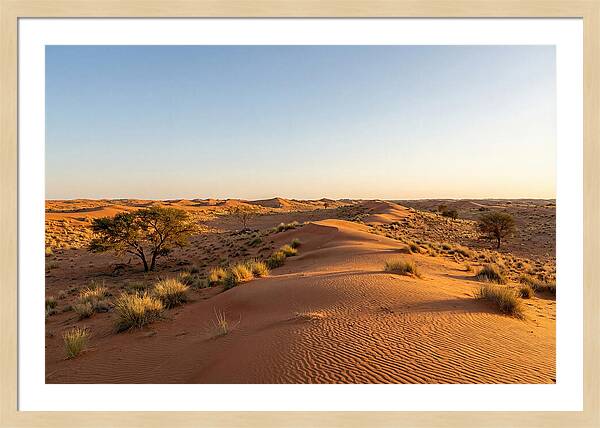 Sandhills Serenity At Dusk
