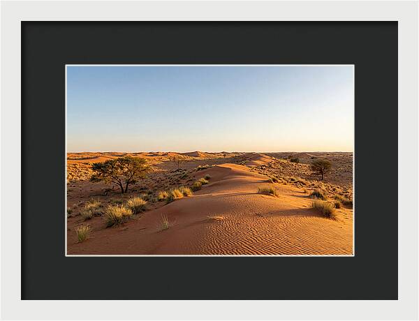 Sandhills Serenity At Dusk