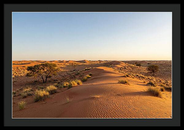 Sandhills Serenity At Dusk