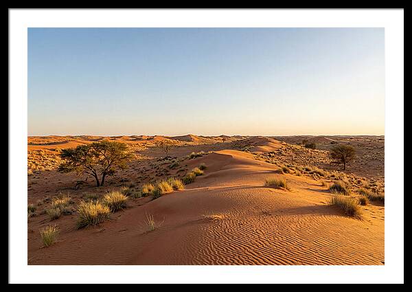 Sandhills Serenity At Dusk