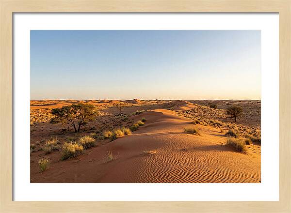 Sandhills Serenity At Dusk