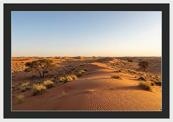 Sandhills Serenity At Dusk
