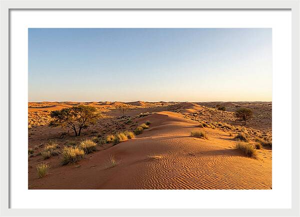 Sandhills Serenity At Dusk