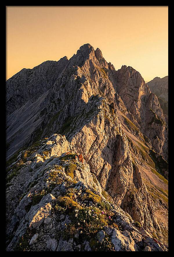 Sandia Mountain Majesty